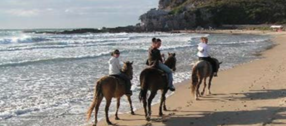 Persone a cavallo sulla spiaggia